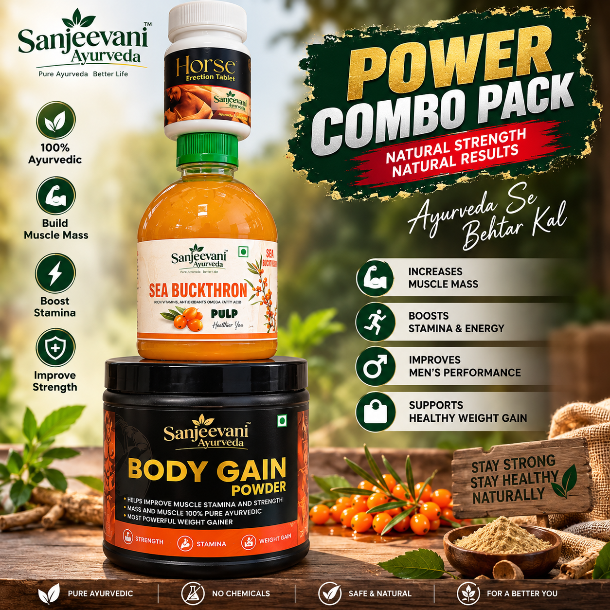Body Gain + Sea Buckthron + Horse Erection Combo Pack